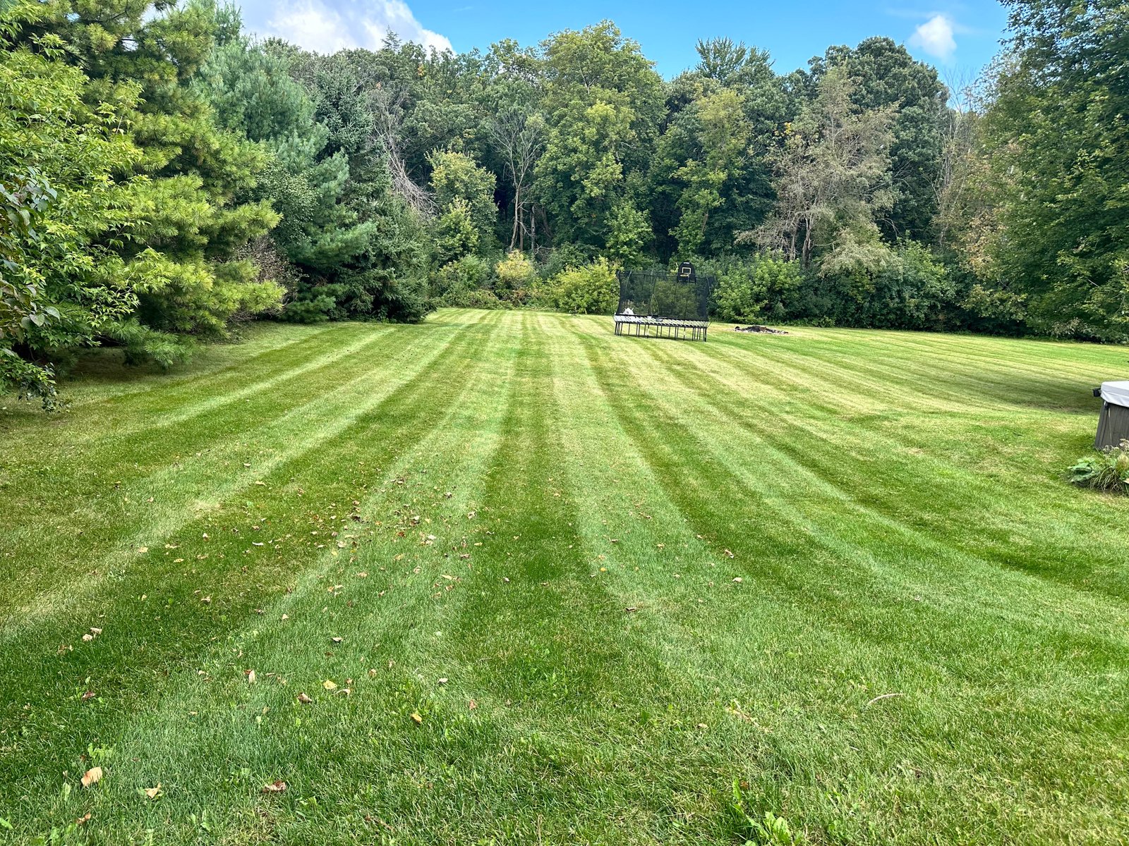 Lawncare